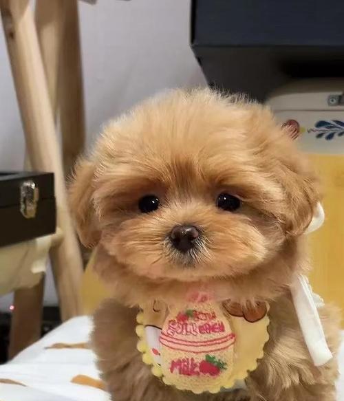 文章详情图片
