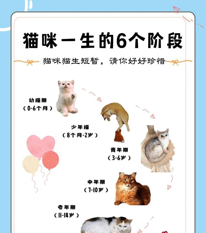 文章详情图片