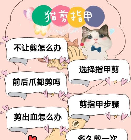 文章详情图片