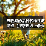 宠物狗的品种多样性与特点（探索世界上最受欢迎的狗狗品种）（图4）