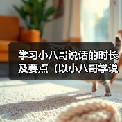 学习小八哥说话的时长及要点(以小八哥学说话,你需要多久才能掌握?)(图4) 学习小八哥说话的时长及要点(以小八哥学说话,你需要多久才能掌握?)(图4)