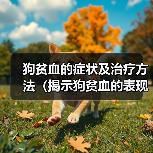 狗贫血的症状及治疗方法(揭示狗贫血的表现,提供有效的治疗方法)(图4) 狗贫血的症状及治疗方法(揭示狗贫血的表现,提供有效的治疗方法)(图4)