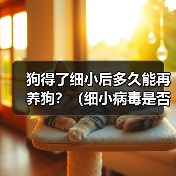 狗得了细小后多久能再养狗?(细小病毒是否会对新养的狗造成影响?)(图3) 狗得了细小后多久能再养狗?(细小病毒是否会对新养的狗造成影响?)(图3)