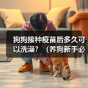 狗狗接种疫苗后多久可以洗澡？（养狗新手必知，打完针后的洗澡时间安排！）