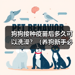 狗狗接种疫苗后多久可以洗澡?(养狗新手必知,打完针后的洗澡时间安排!)(图4) 狗狗接种疫苗后多久可以洗澡?(养狗新手必知,打完针后的洗澡时间安排!)(图4)