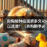 狗狗接种疫苗后多久可以洗澡?(养狗新手必知,打完针后的洗澡时间安排!)(图3) 狗狗接种疫苗后多久可以洗澡?(养狗新手必知,打完针后的洗澡时间安排!)(图3)