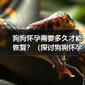 狗狗怀孕需要多久才能恢复？（探讨狗狗怀孕后的恢复周期与关键因素）
