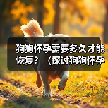 狗狗怀孕需要多久才能恢复?(探讨狗狗怀孕后的恢复周期与关键因素)(图3) 狗狗怀孕需要多久才能恢复?(探讨狗狗怀孕后的恢复周期与关键因素)(图3)