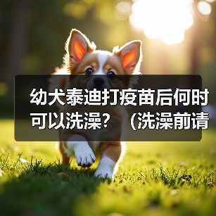 幼犬泰迪打疫苗后何时可以洗澡?(洗澡前请留意这些关键信息)(图2) 幼犬泰迪打疫苗后何时可以洗澡?(洗澡前请留意这些关键信息)(图2)
