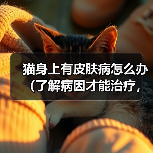 猫身上有皮肤病怎么办(了解病因才能治疗,给爱猫做个好主人)(图1) 猫身上有皮肤病怎么办(了解病因才能治疗,给爱猫做个好主人)(图1)