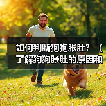 如何判断狗狗胀肚？（了解狗狗胀肚的原因和症状，及时处理避免严重后果）（图2）