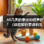 40几天的泰迪如何养护？（详细解析泰迪的生活、食物、健康和训练）（图1）
