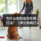 为什么狗狗喜欢在草上打滚?(探究狗狗打滚的原因与好处,让你更加了解宠物狗)(图4) 为什么狗狗喜欢在草上打滚?(探究狗狗打滚的原因与好处,让你更加了解宠物狗)(图4)