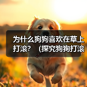 为什么狗狗喜欢在草上打滚?(探究狗狗打滚的原因与好处,让你更加了解宠物狗)(图3) 为什么狗狗喜欢在草上打滚?(探究狗狗打滚的原因与好处,让你更加了解宠物狗)(图3)
