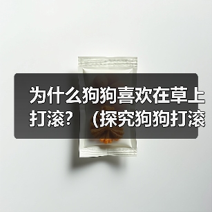 为什么狗狗喜欢在草上打滚？（探究狗狗打滚的原因与好处，让你更加了解宠物狗）