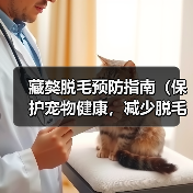 藏獒脱毛预防指南（保护宠物健康，减少脱毛困扰）