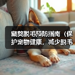 藏獒脱毛预防指南(保护宠物健康,减少脱毛困扰)(图4) 藏獒脱毛预防指南(保护宠物健康,减少脱毛困扰)(图4)