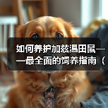 如何养护加兹温田鼠——最全面的饲养指南（宠物爱好者必看，分享加兹温田鼠的饲养经验）
