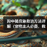 狗中暑应急救治方法详解(宠物主人必备,救命大法!)(图4) 狗中暑应急救治方法详解(宠物主人必备,救命大法!)(图4)