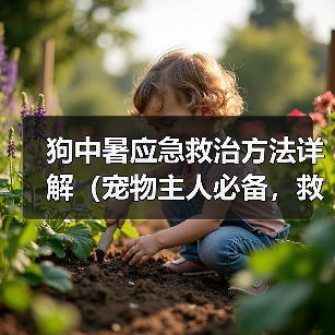狗中暑应急救治方法详解(宠物主人必备,救命大法!)(图3) 狗中暑应急救治方法详解(宠物主人必备,救命大法!)(图3)