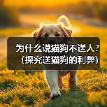为什么说猫狗不送人?(探究送猫狗的利弊)(图2) 为什么说猫狗不送人?(探究送猫狗的利弊)(图2)