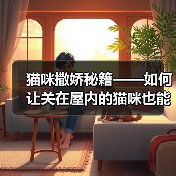 猫咪撒娇秘籍——如何让关在屋内的猫咪也能享受亲人的陪伴（——猫咪，撒娇，关起来）（图4）