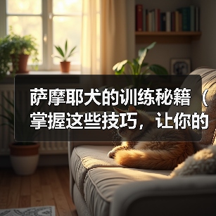 萨摩耶犬的训练秘籍(掌握这些技巧,让你的萨摩耶成为听话的好孩子)(图2) 萨摩耶犬的训练秘籍(掌握这些技巧,让你的萨摩耶成为听话的好孩子)(图2)