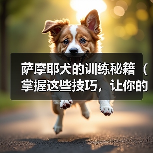 萨摩耶犬的训练秘籍(掌握这些技巧,让你的萨摩耶成为听话的好孩子)(图4) 萨摩耶犬的训练秘籍(掌握这些技巧,让你的萨摩耶成为听话的好孩子)(图4)