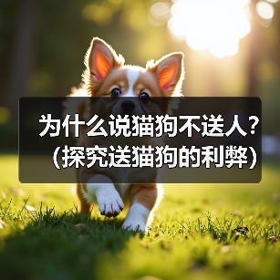 为什么说猫狗不送人?(探究送猫狗的利弊)(图3) 为什么说猫狗不送人?(探究送猫狗的利弊)(图3)