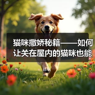猫咪撒娇秘籍——如何让关在屋内的猫咪也能享受亲人的陪伴（——猫咪，撒娇，关起来）（图3）