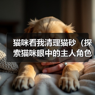 猫咪看我清理猫砂(探索猫咪眼中的主人角色,提高与猫咪的亲密度)(图1) 猫咪看我清理猫砂(探索猫咪眼中的主人角色,提高与猫咪的亲密度)(图1)