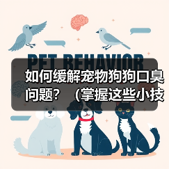 如何缓解宠物狗狗口臭问题?(掌握这些小技巧,让狗狗口气清新舒适)(图3) 如何缓解宠物狗狗口臭问题?(掌握这些小技巧,让狗狗口气清新舒适)(图3)