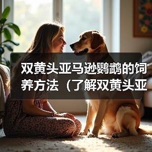 双黄头亚马逊鹦鹉的饲养方法(了解双黄头亚马逊鹦鹉,创造温馨家园)(图3) 双黄头亚马逊鹦鹉的饲养方法(了解双黄头亚马逊鹦鹉,创造温馨家园)(图3)