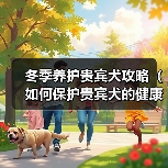 冬季养护贵宾犬攻略（如何保护贵宾犬的健康和舒适）