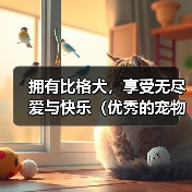 拥有比格犬，享受无尽爱与快乐（优秀的宠物，从一只忠诚的比格犬开始）（图4）