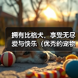 拥有比格犬，享受无尽爱与快乐（优秀的宠物，从一只忠诚的比格犬开始）（图3）