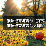 猫咪绝育与寿命（探究猫咪绝育与寿命之间的关系，让主人更明智地抉择）（图4）