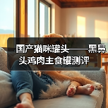 国产猫咪罐头——黑鼻头鸡肉主食罐测评（图1）