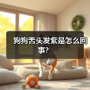 狗狗舌头发紫是怎么回事？（图1）