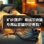 矿砂测评！希瑞尔幼猫专用启蒙猫砂好用吗？（图2）