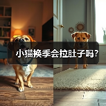 小猫换季会拉肚子吗？（图3）