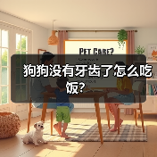 狗狗没有牙齿了怎么吃饭？