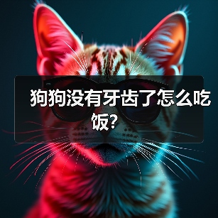 狗狗没有牙齿了怎么吃饭？