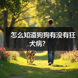 怎么知道狗狗有没有狂犬病? 怎么知道狗狗有没有狂犬病?