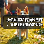 小佩钠基矿石猫砂测评：又挖到好用的矿砂啦！