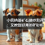 小佩钠基矿石猫砂测评：又挖到好用的矿砂啦！（图3）