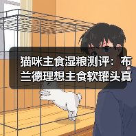 猫咪主食湿粮测评：布兰德理想主食软罐头真的这么香？（图2）
