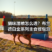猫咪湿粮怎么选？布兰德白金系列主食餐包测评（图1）