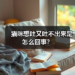 猫咪想吐又吐不出来是怎么回事?(图4) 猫咪想吐又吐不出来是怎么回事?(图4)