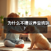为什么不建议养雪纳瑞？（图3）